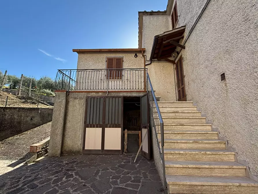 Immagine 3 di Terratetto in vendita  a Chianni