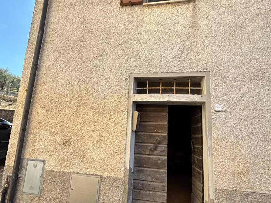 Immagine 35 di Terratetto in vendita  a Chianni