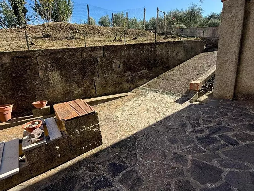 Immagine 42 di Terratetto in vendita  a Chianni