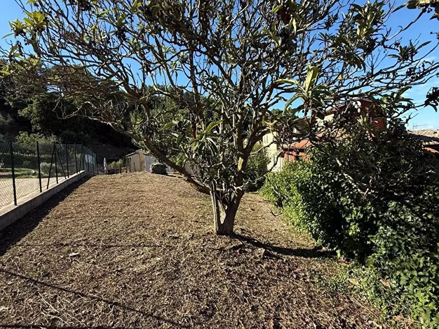 Immagine 2 di Terratetto in vendita  a Chianni