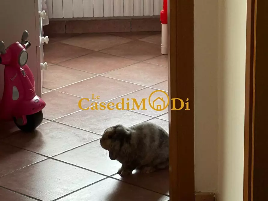 Immagine 33 di Appartamento in vendita  a Livorno