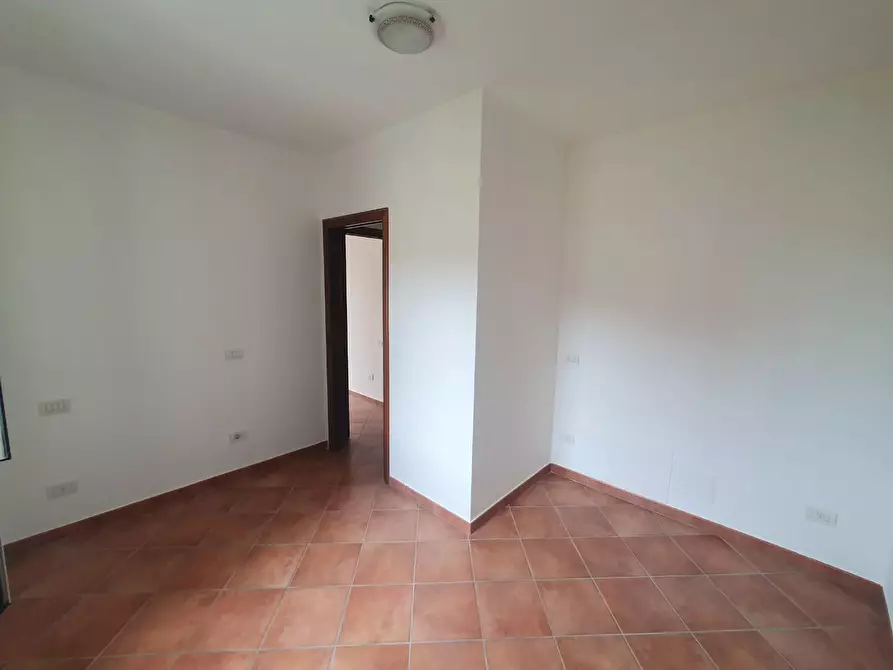 Immagine 30 di Terratetto in vendita  a Capannori