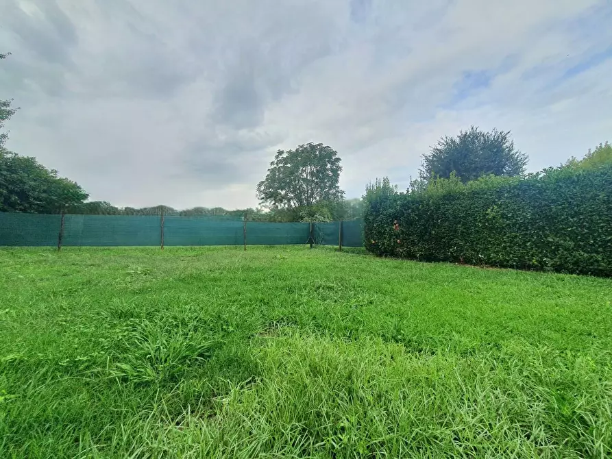 Immagine 36 di Terratetto in vendita  a Capannori