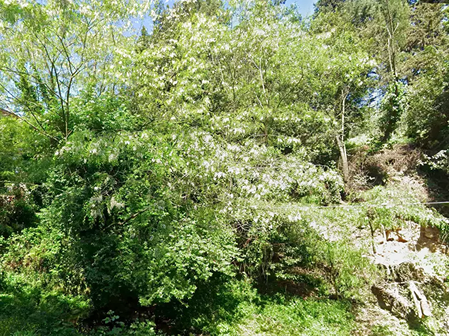 Immagine 3 di Appartamento in vendita  a Buti