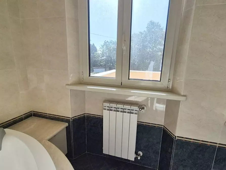 Immagine 100 di Villa in vendita  a Camaiore