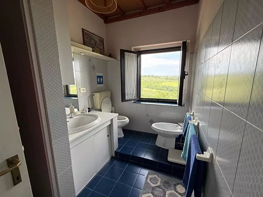 Immagine 18 di Casa colonica in vendita  a Certaldo