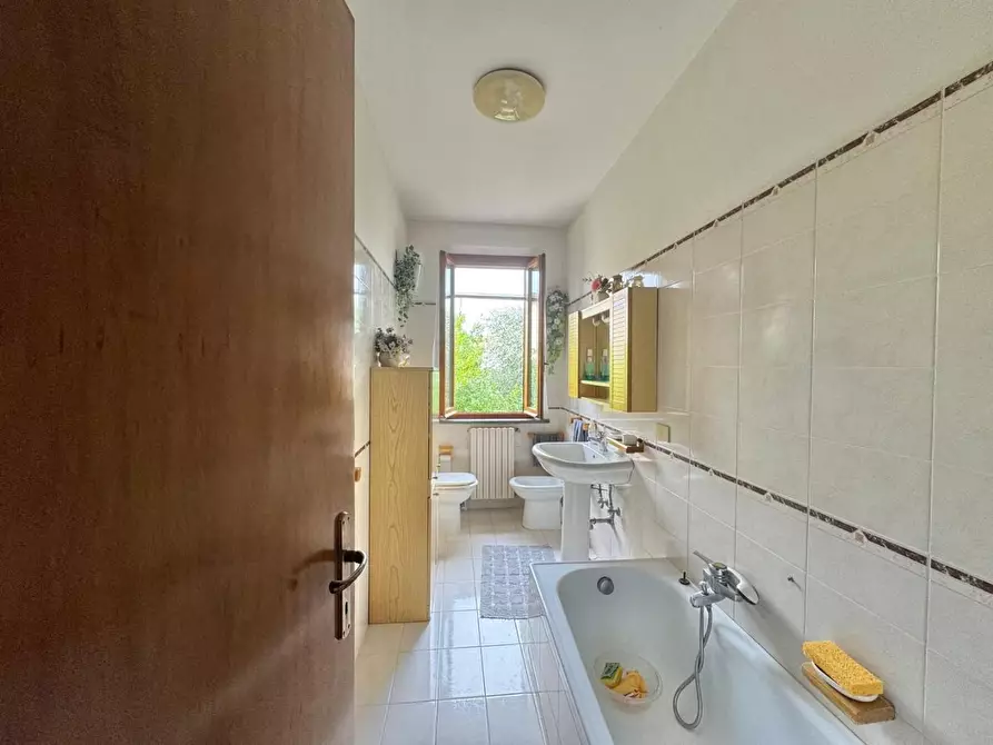 Immagine 15 di Terratetto in vendita  a Ponsacco