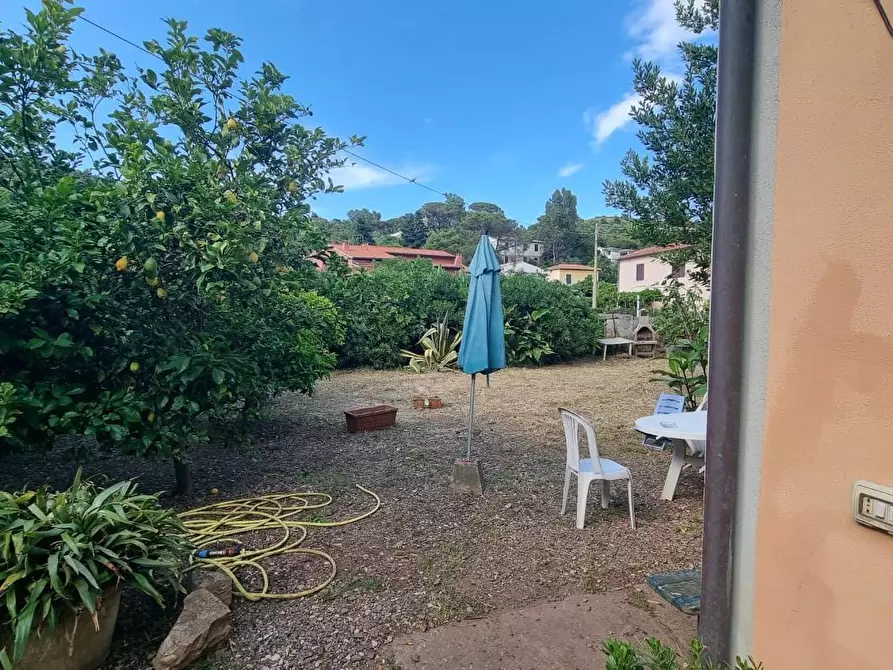 Immagine 23 di Terratetto in vendita  a Portoferraio