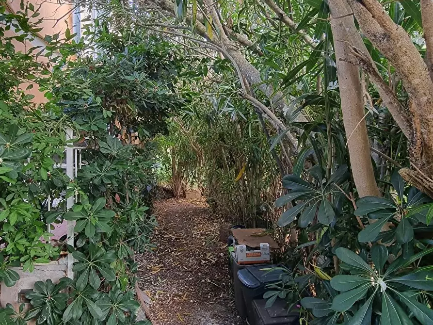 Immagine 17 di Terratetto in vendita  a Portoferraio