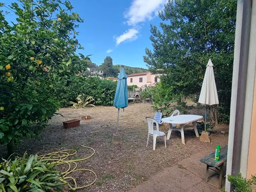 Immagine 19 di Terratetto in vendita  a Portoferraio