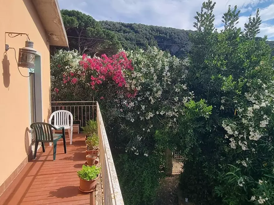 Immagine 6 di Terratetto in vendita  a Portoferraio