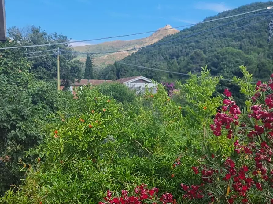 Immagine 15 di Terratetto in vendita  a Portoferraio