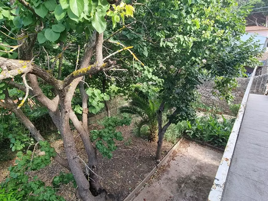 Immagine 1 di Terratetto in vendita  a Portoferraio