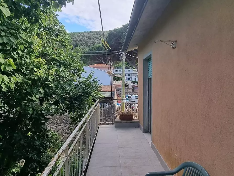 Immagine 8 di Terratetto in vendita  a Portoferraio