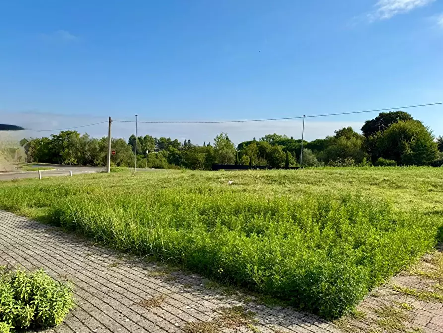 Immagine 1 di Terreno residenziale in vendita  a Montopoli In Val D'arno