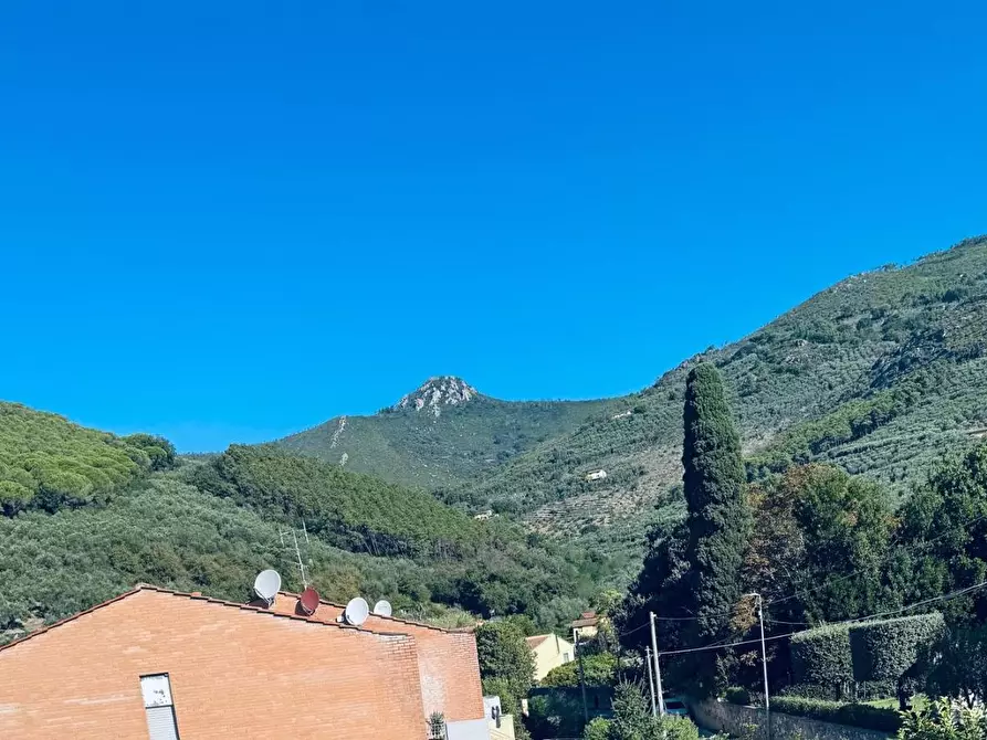 Immagine 17 di Appartamento in vendita  a Vicopisano