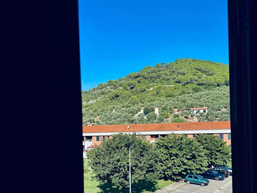 Immagine 9 di Appartamento in vendita  a Vicopisano