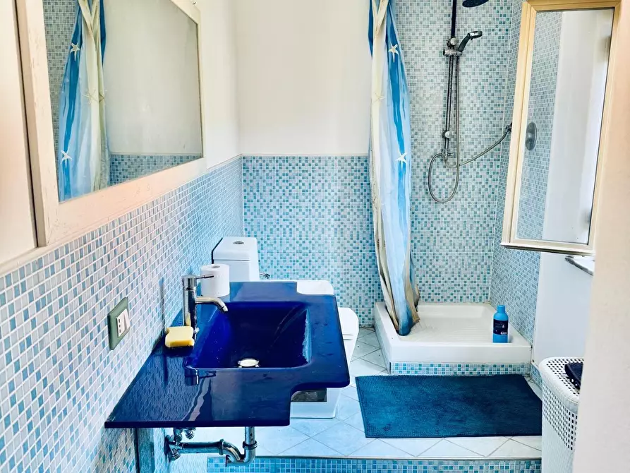 Immagine 13 di Appartamento in vendita  a Vicopisano