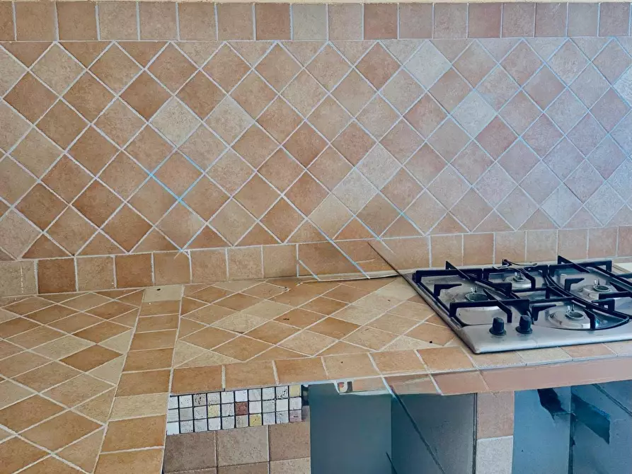 Immagine 16 di Appartamento in vendita  a Vicopisano