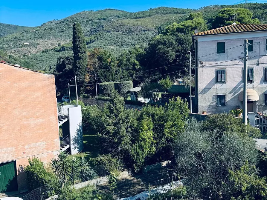 Immagine 2 di Appartamento in vendita  a Vicopisano