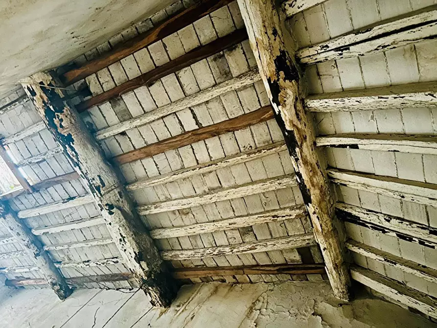 Immagine 11 di Terratetto in vendita  a Capannori