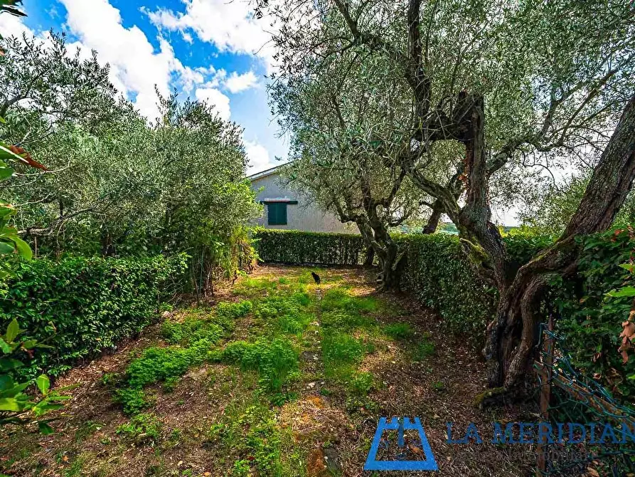 Immagine 33 di Terratetto in vendita  a Lamporecchio