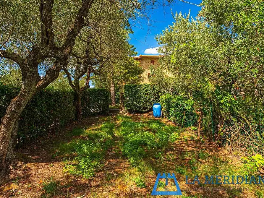 Immagine 32 di Terratetto in vendita  a Lamporecchio