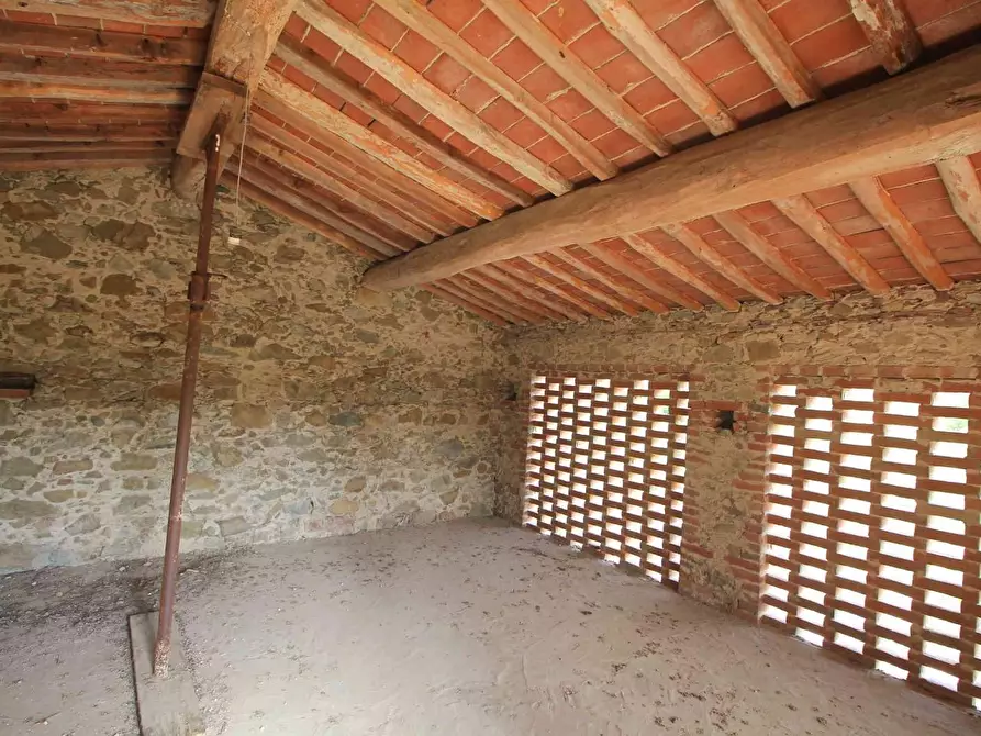 Immagine 8 di Casa colonica in vendita  a Vinci