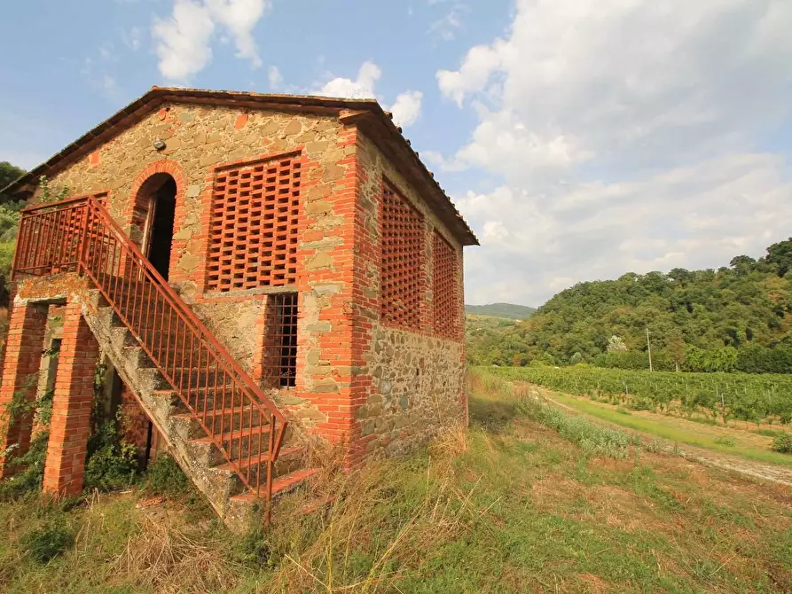 Immagine 4 di Casa colonica in vendita  a Vinci