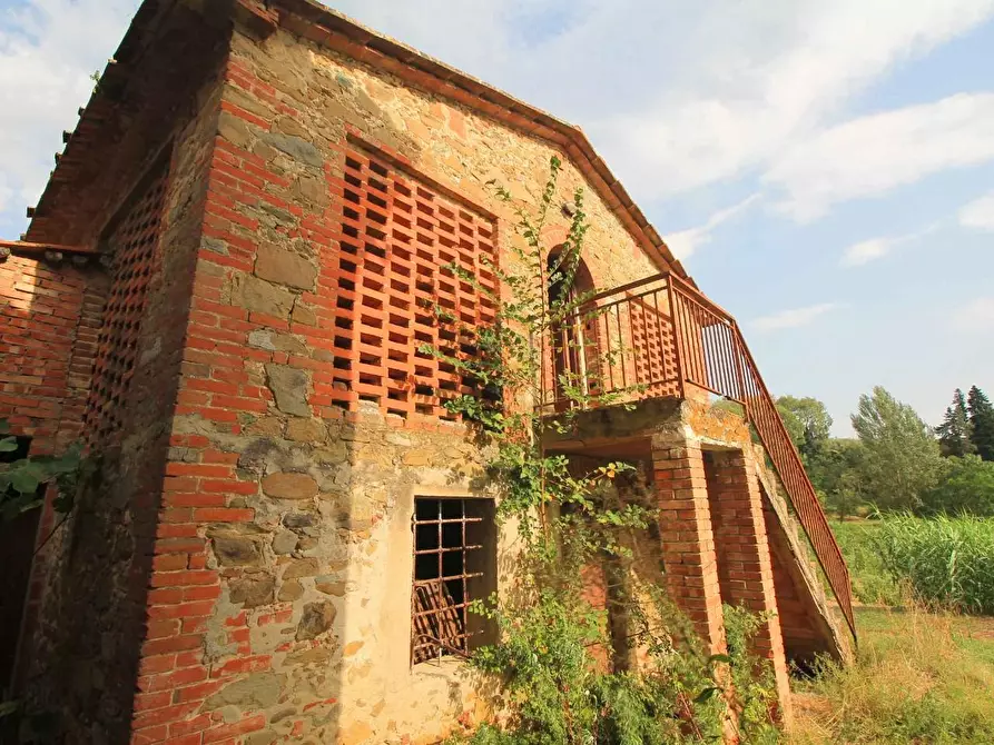 Immagine 3 di Casa colonica in vendita  a Vinci