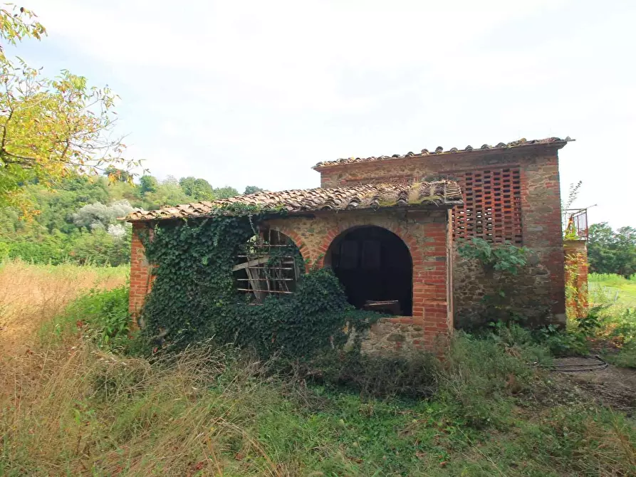 Immagine 7 di Casa colonica in vendita  a Vinci