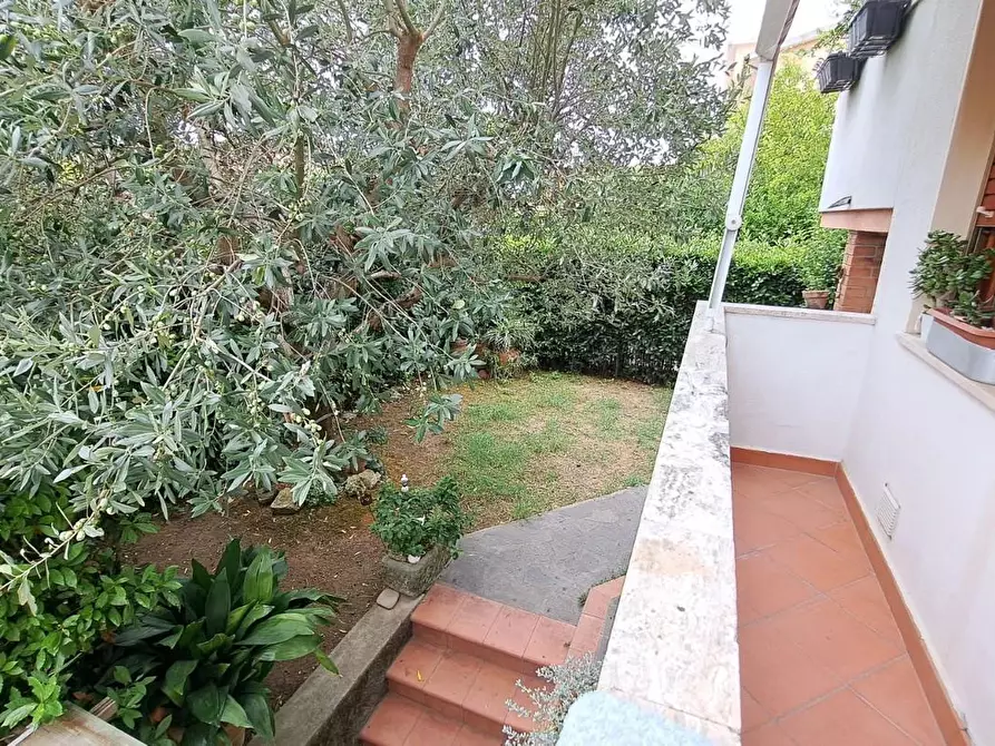 Immagine 18 di Appartamento in vendita  a Rosignano Marittimo