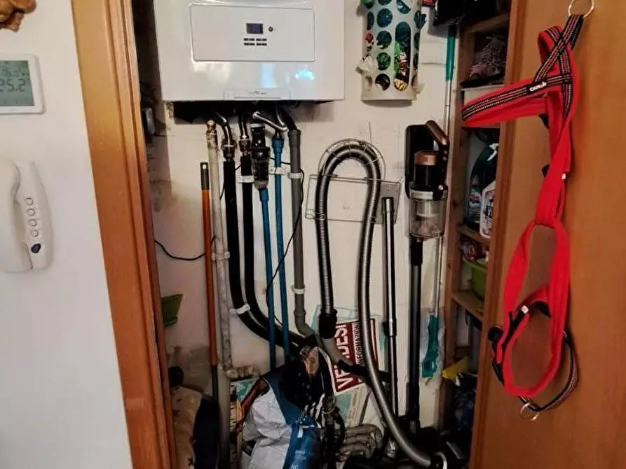 Immagine 15 di Appartamento in vendita  a Rosignano Marittimo