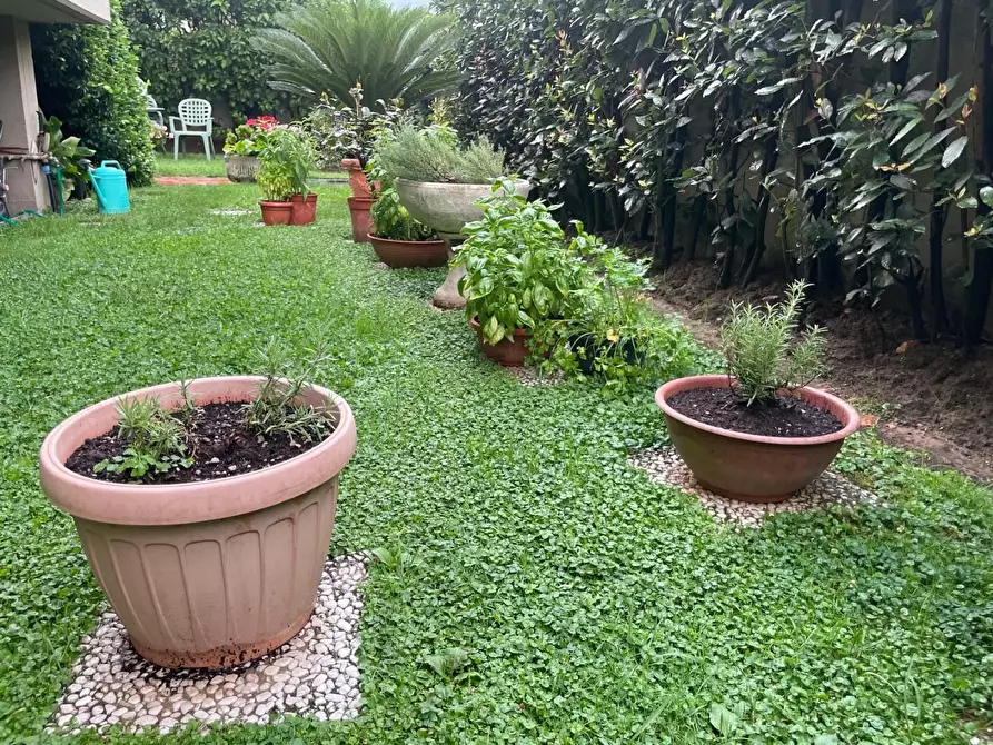 Immagine 19 di Villetta a schiera in vendita  a Carrara