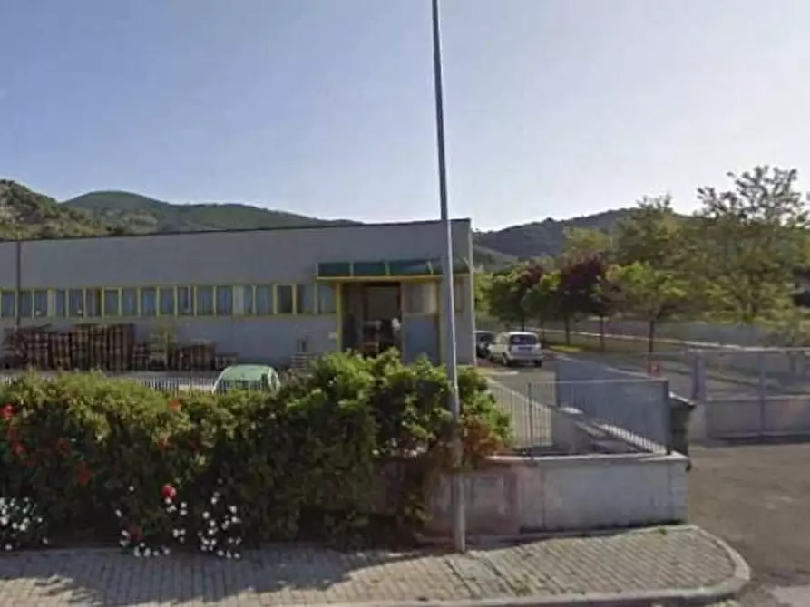 Immagine 1 di Capannone industriale in vendita  a Vicopisano