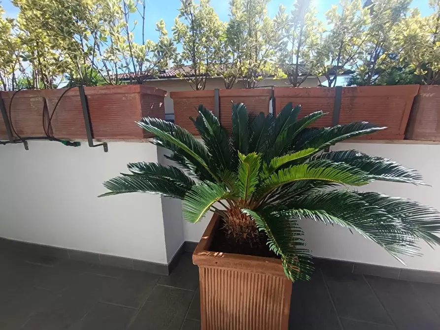 Immagine 38 di Villa in vendita  a Montignoso