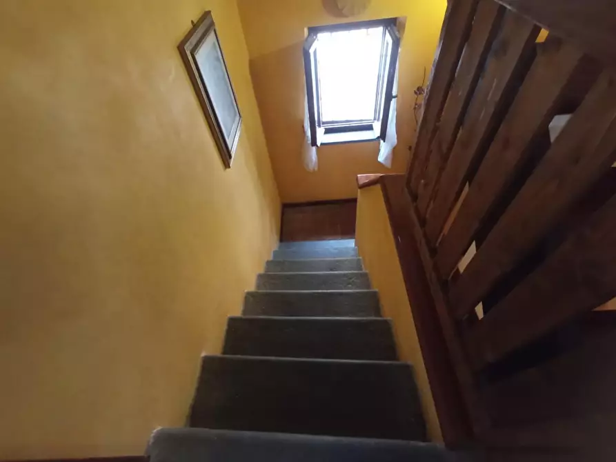 Immagine 33 di Terratetto in vendita  a San Giuliano Terme