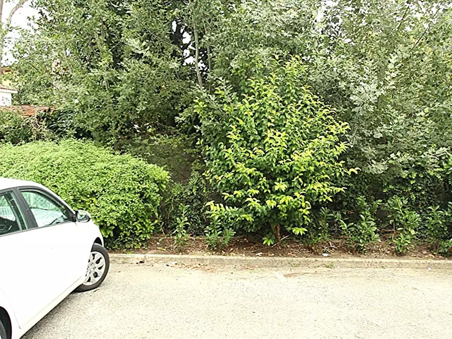 Immagine 22 di Appartamento in vendita  a Lucca