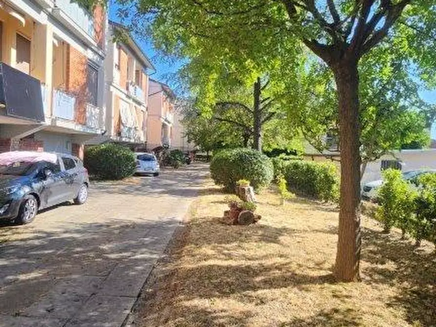 Immagine 25 di Appartamento in vendita  a Pontedera