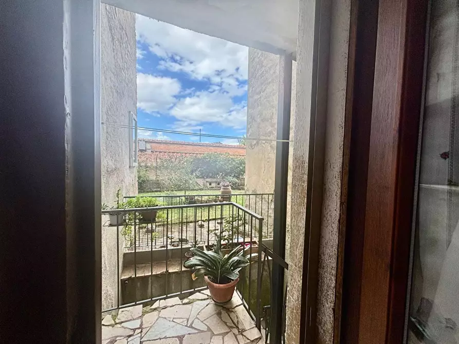 Immagine 5 di Terratetto in vendita  a Volterra
