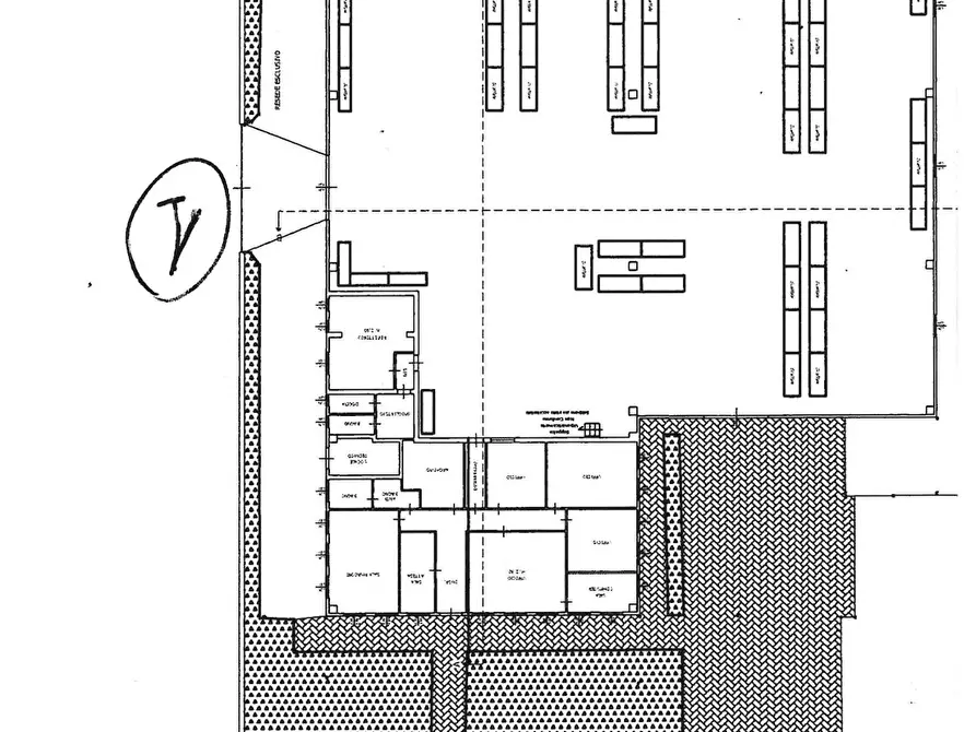 Immagine 6 di Capannone industriale in vendita  a Pontedera