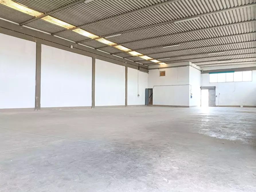 Immagine 4 di Capannone industriale in vendita  a Vinci