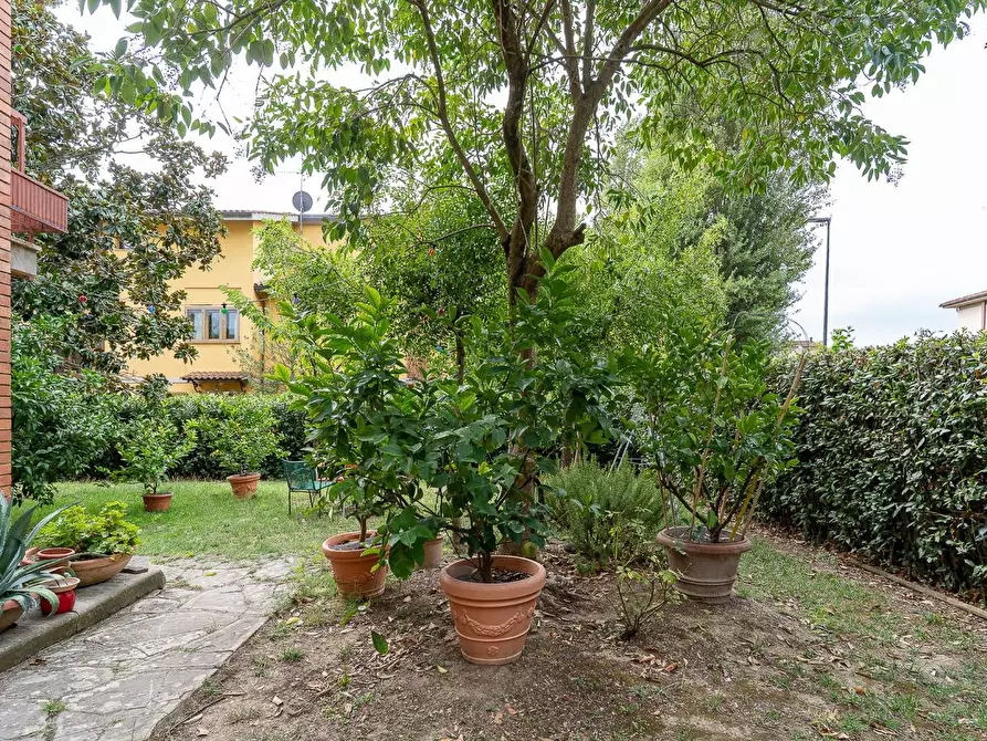 Immagine 11 di Villa in vendita  a Capraia E Limite