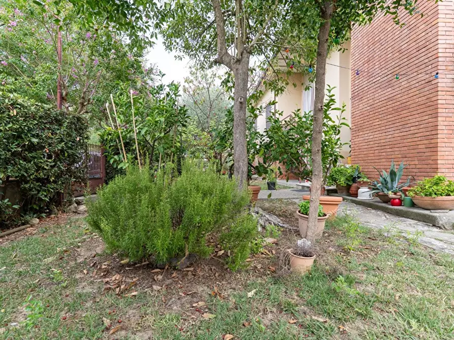 Immagine 7 di Villa in vendita  a Capraia E Limite