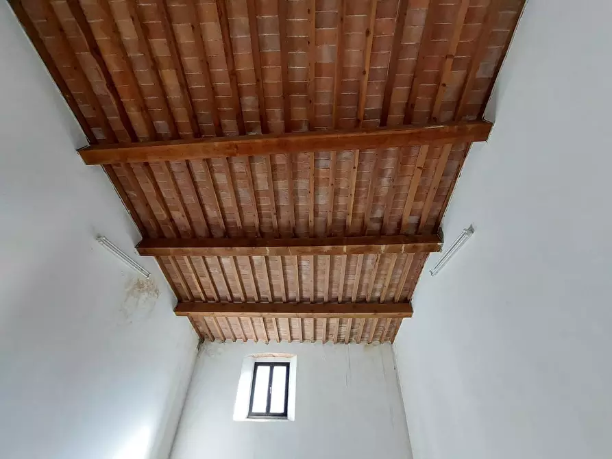 Immagine 4 di Terratetto in vendita  a Buti