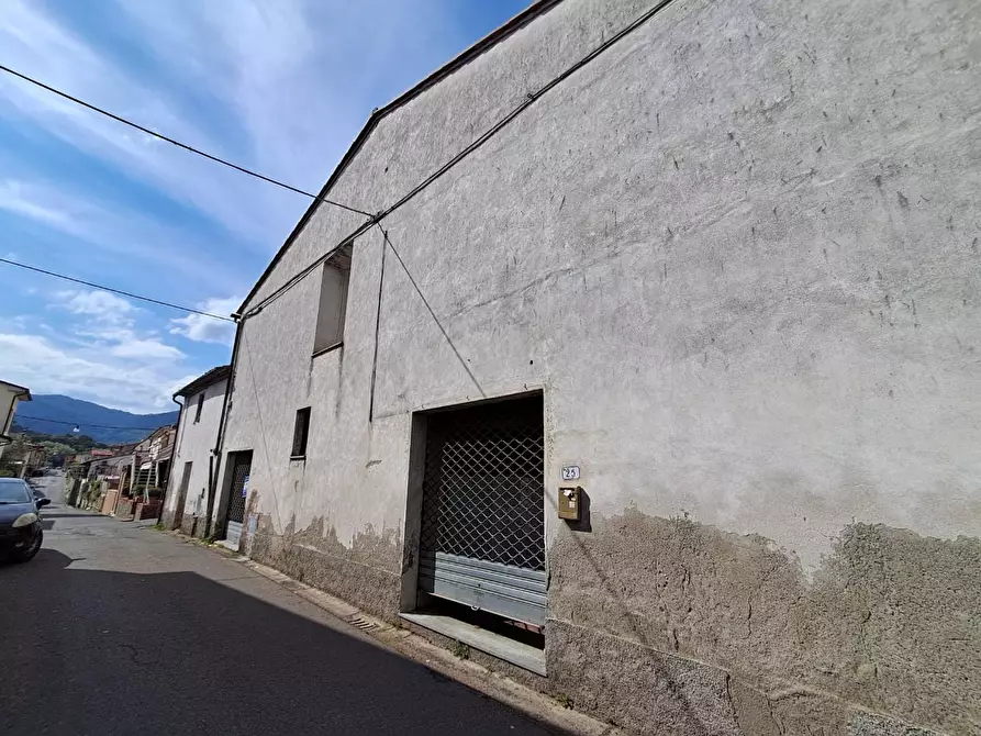 Immagine 3 di Terratetto in vendita  a Buti