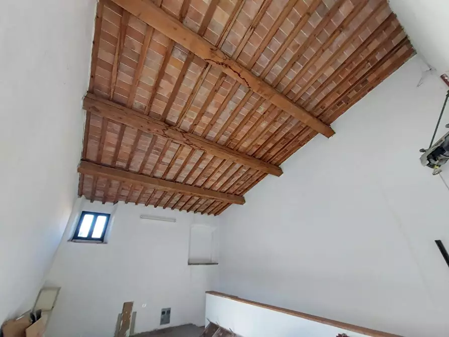 Immagine 7 di Terratetto in vendita  a Buti