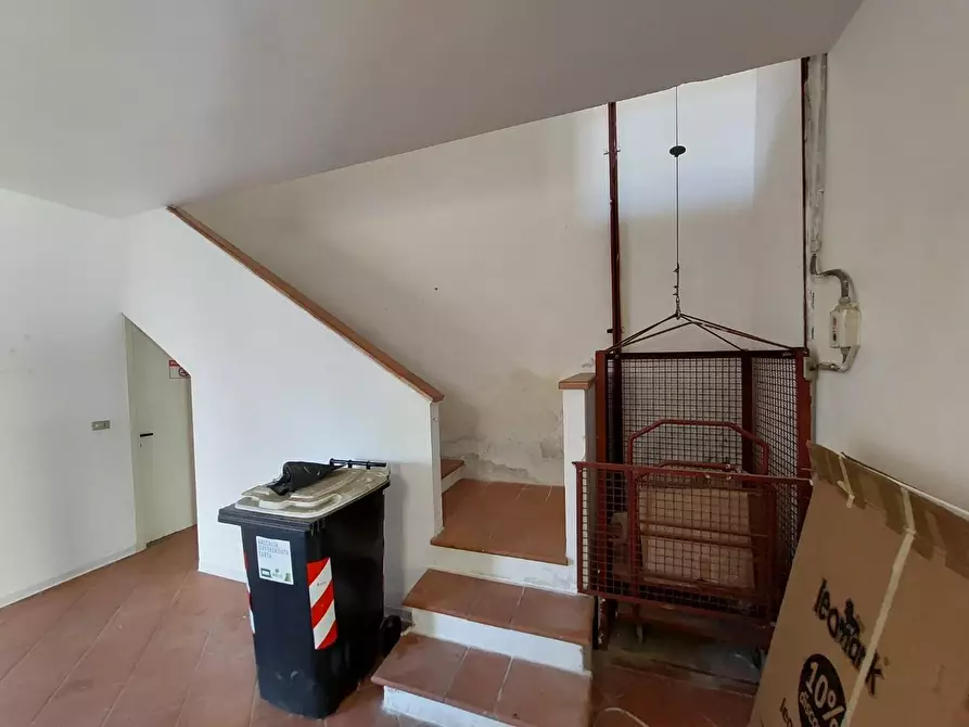 Immagine 19 di Terratetto in vendita  a Buti