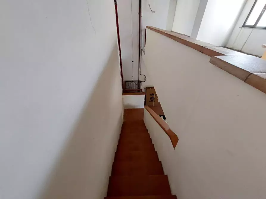 Immagine 12 di Terratetto in vendita  a Buti