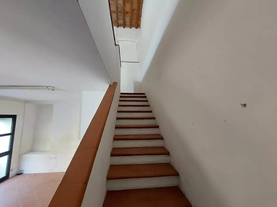 Immagine 13 di Terratetto in vendita  a Buti